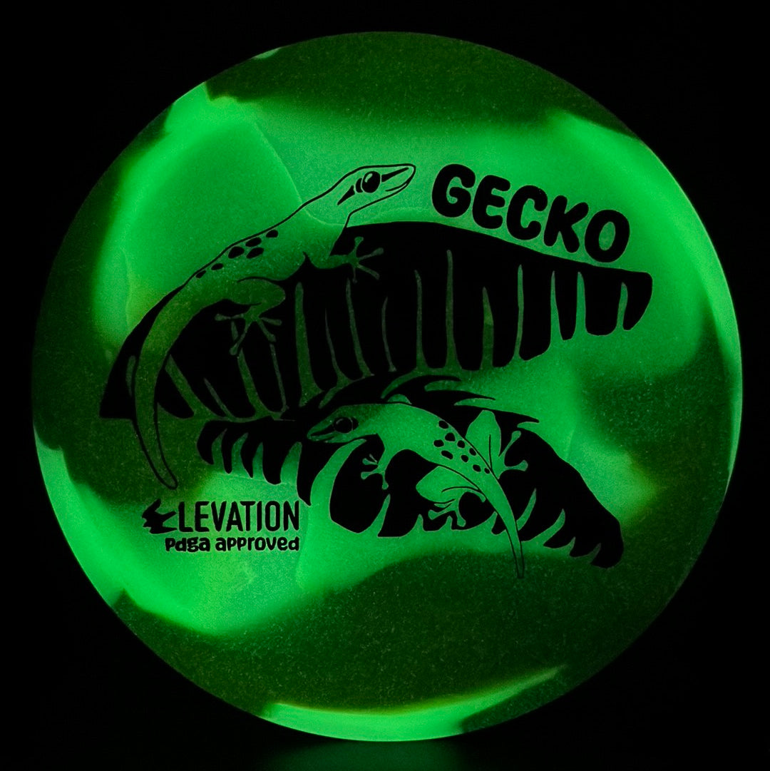 Disco de Golf glO-G Gecko
