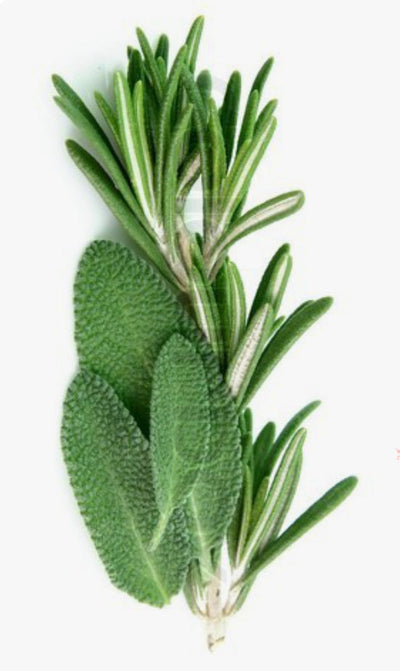 Rosemary Sage Soy Candle – Fresh & Herbal Scent | Mam Jam’s - Korvel