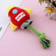 Pet cotton rope toy dog resistant to biting and grinding teeth - Korvel