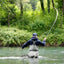 Adams Classic Dry Fly Collection - 12 Premium Size 10 Flies - Korvel