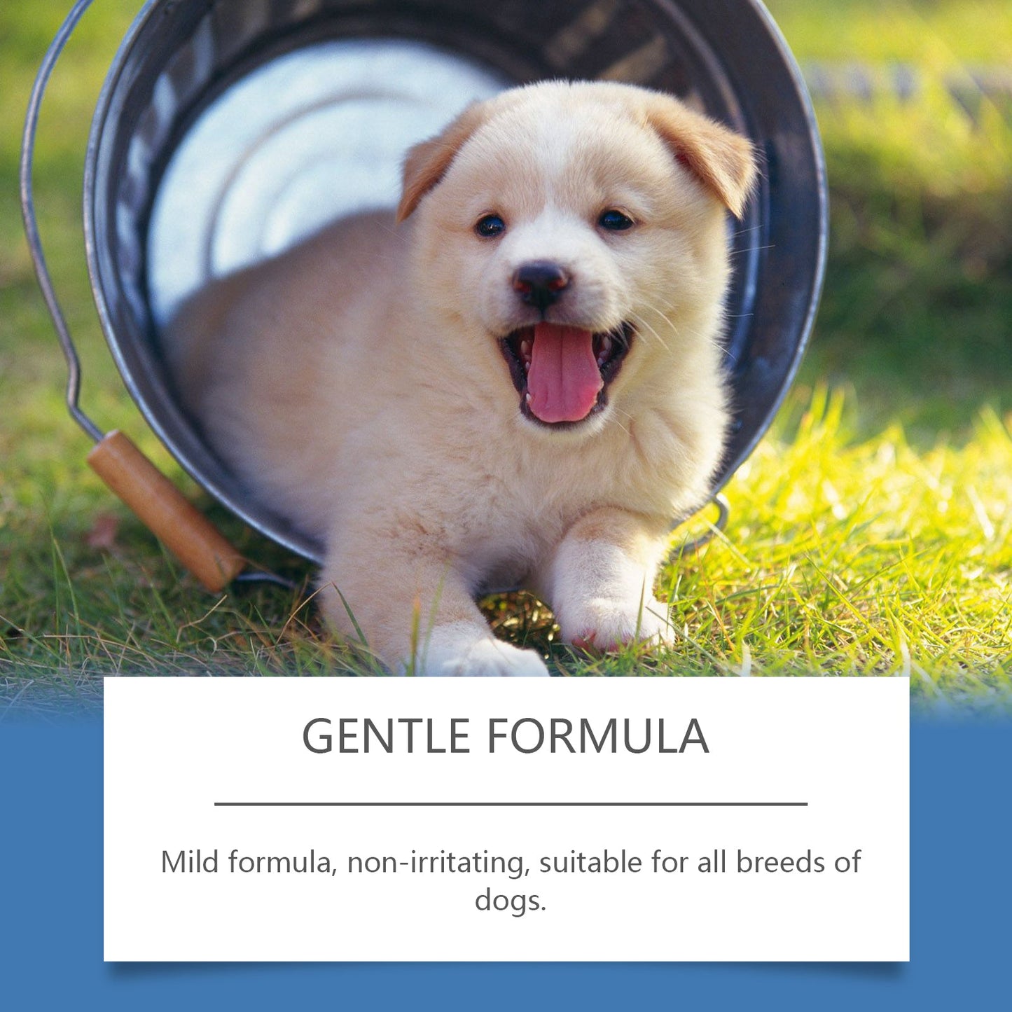 Spray Suave para el Cuidado del Pelaje de Perros y Gatos
