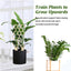 Premium Wooden Garden Trellis for Climbing Plants