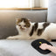 Static Pet Hair Removal Gloves - 3-in-1 Grooming, Deshedding & Multi-Surface Hair Remover for Dogs & Cats - Korvel