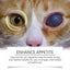 Premium Taurine Tablets for Cats - Nutritional Support