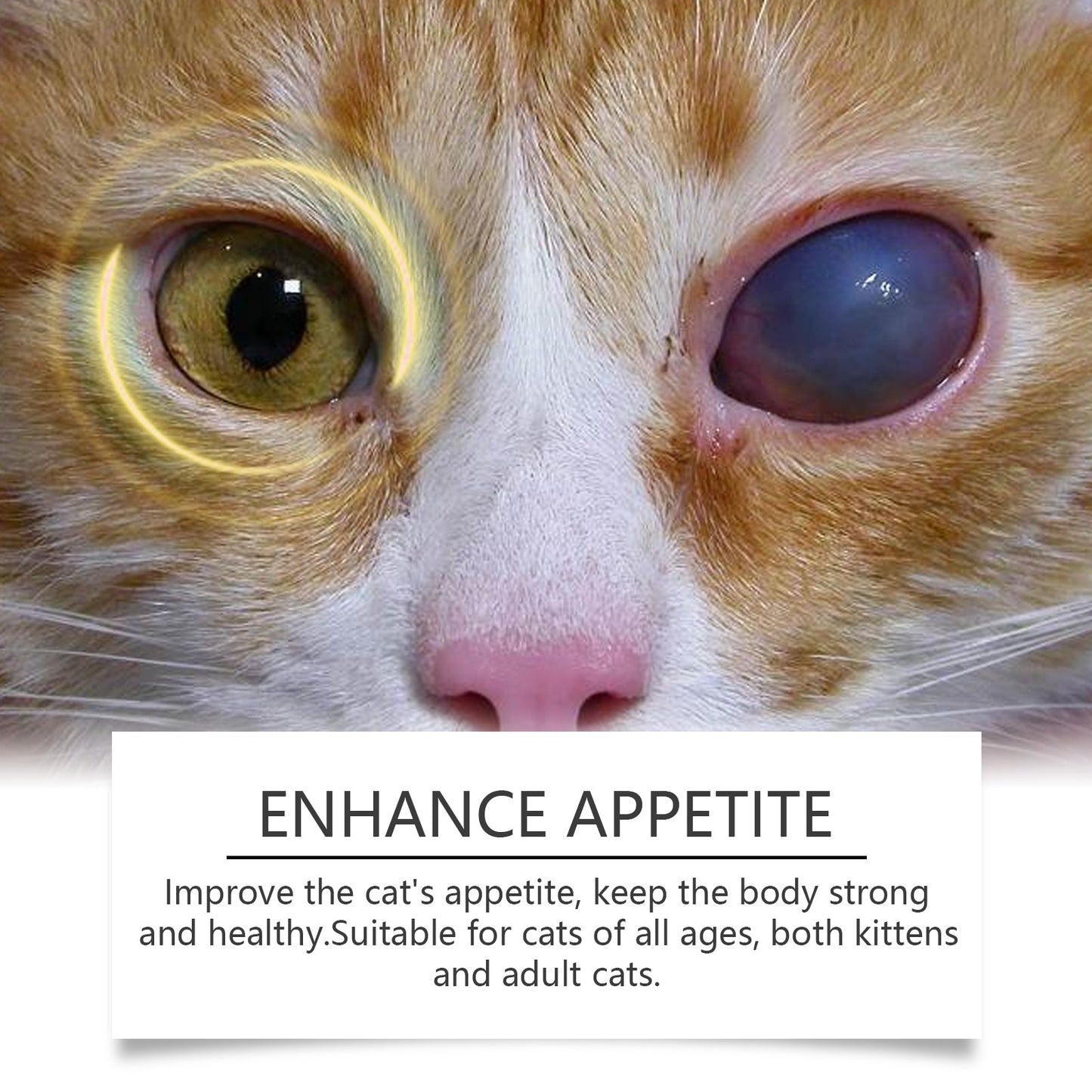 Premium Taurine Tablets for Cats - Nutritional Support