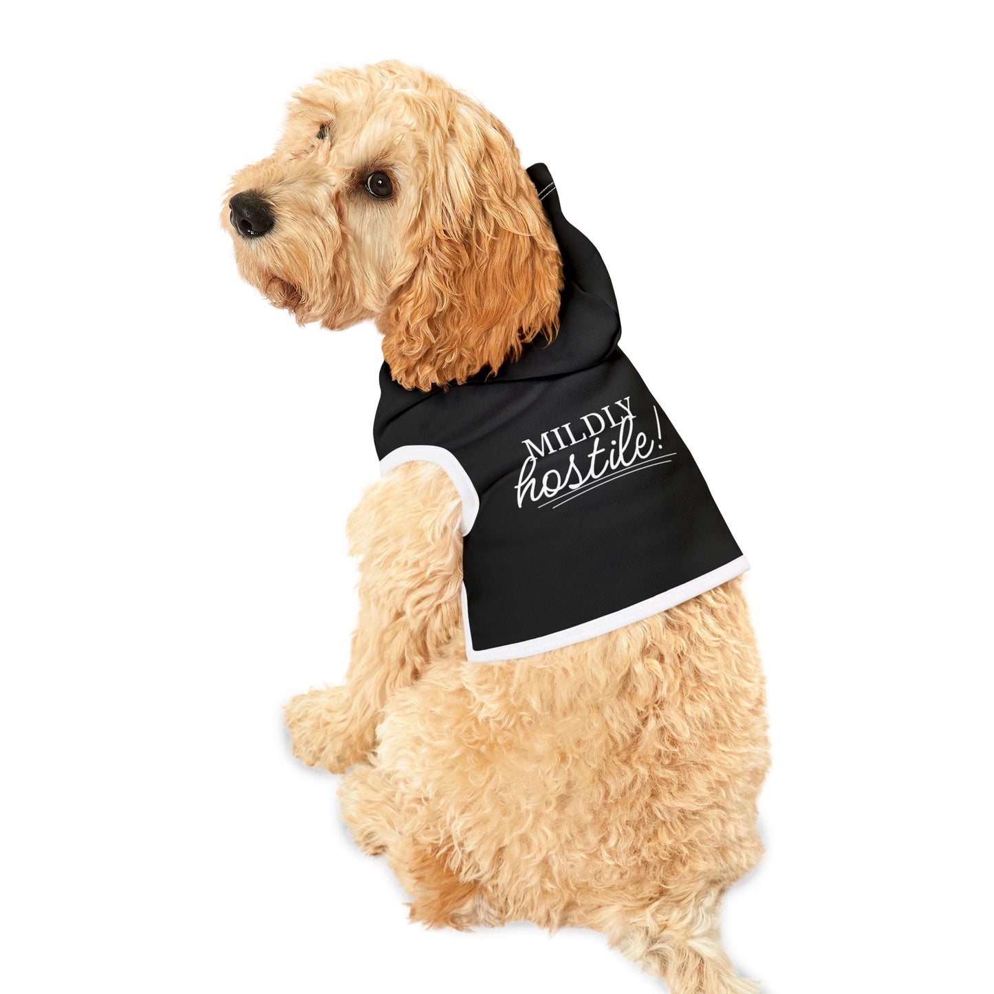 Mildly Hostile Cat Hoodie – Black