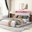 Queen Size Upholstered Platform Bed with Storage Headboard  LED  USB Charging and 2 Drawers  Beige - Korvel