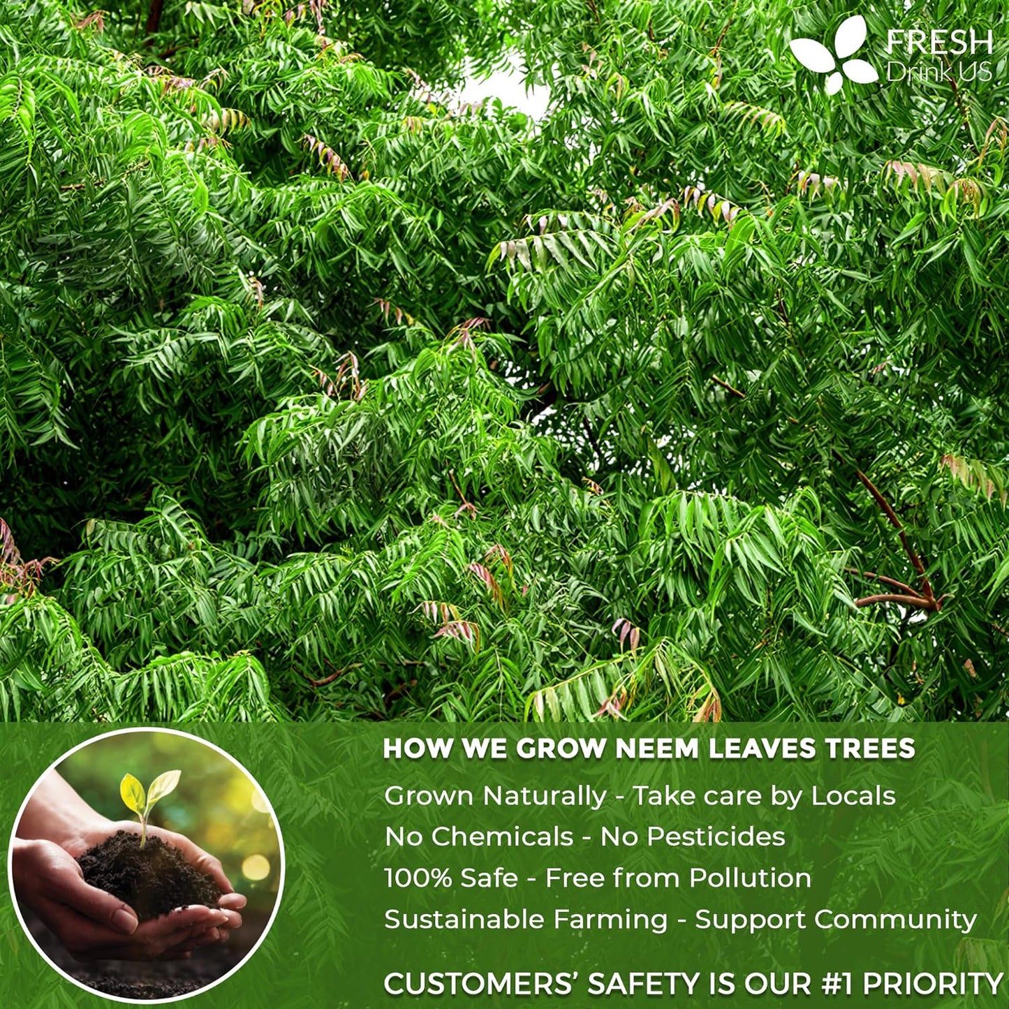 Premium Neem Leaf Tea Bags - 100% Natural & Pure