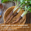 100% Natural Burdock Root Tea Bags - Vegan & Caffeine-Free