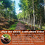 Pure Cinnamon Herbal Tea - 100% Natural & Caffeine-Free