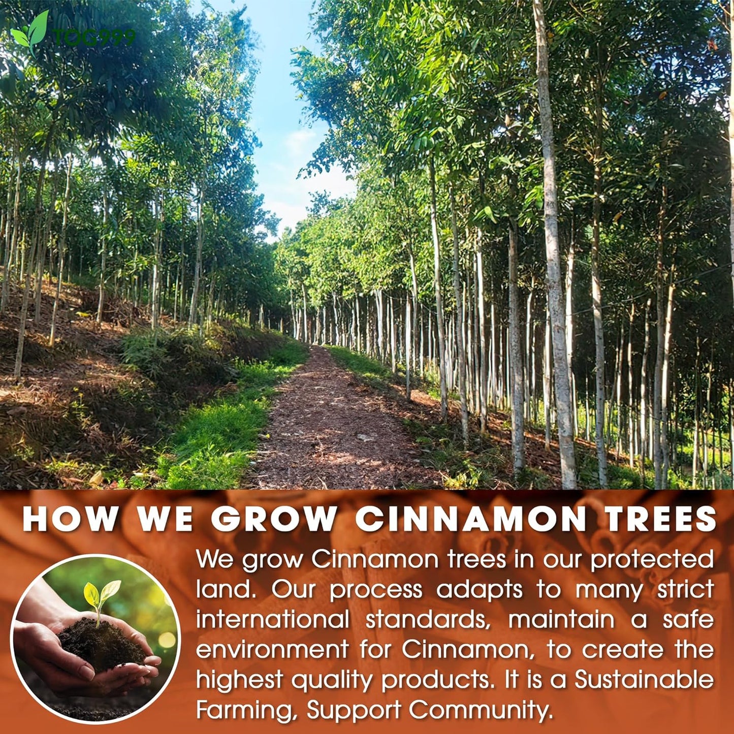 Pure Cinnamon Herbal Tea - 100% Natural & Caffeine-Free