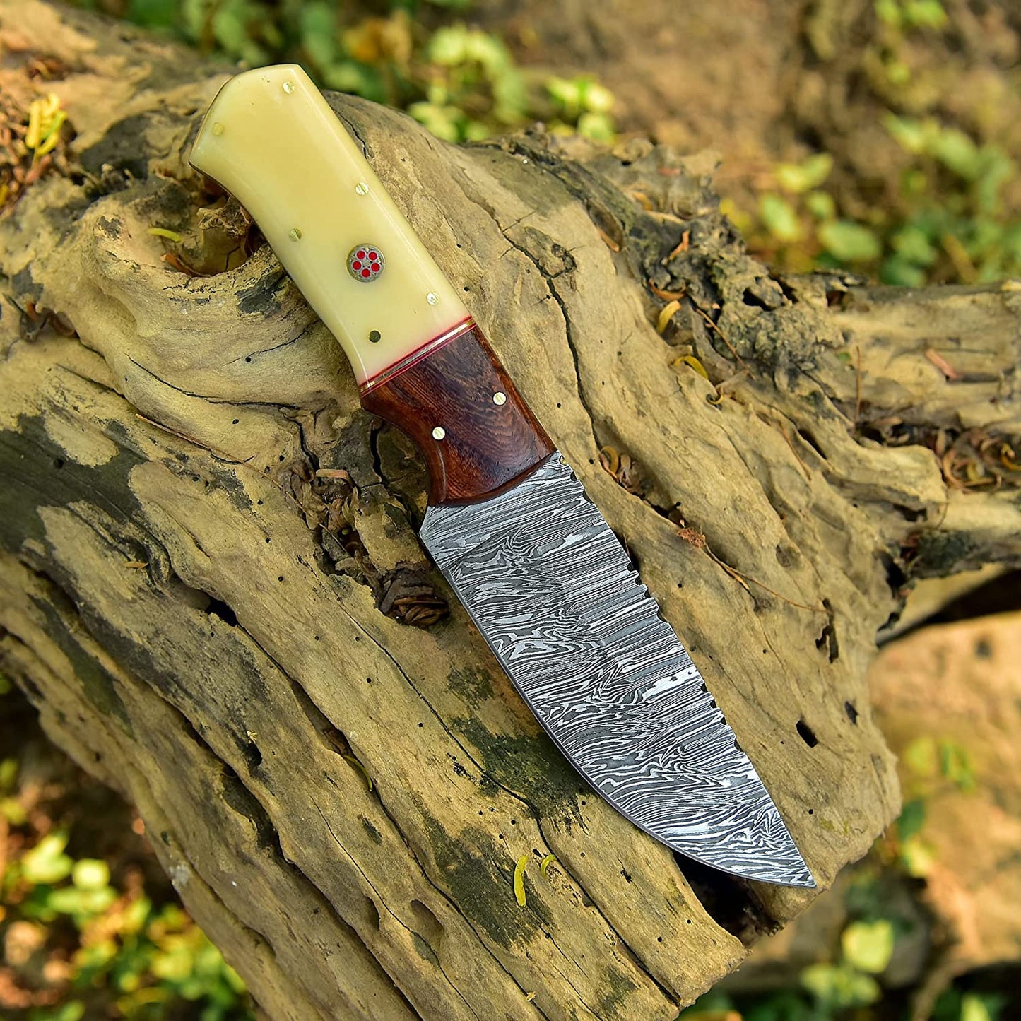 Premium Damascus Skinning Knife with Elegant Bone-Rosewood Handle - Korvel