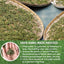 Premium Rosemary Leaf Tea Bags - 100% Natural & Pure