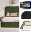 Hydraulic Storage Bed with RGB LED Lights and Bluetooth Speaker