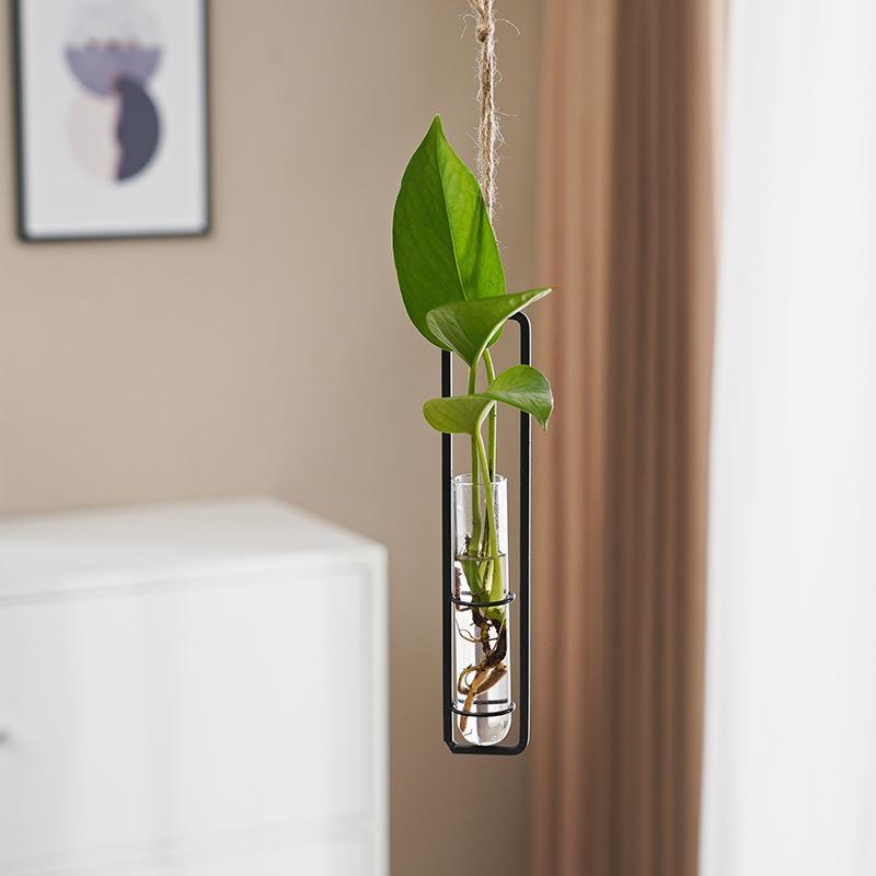 Jarrón Hidropónico de Vidrio Estilo Escandinavo para Decoración Creativa