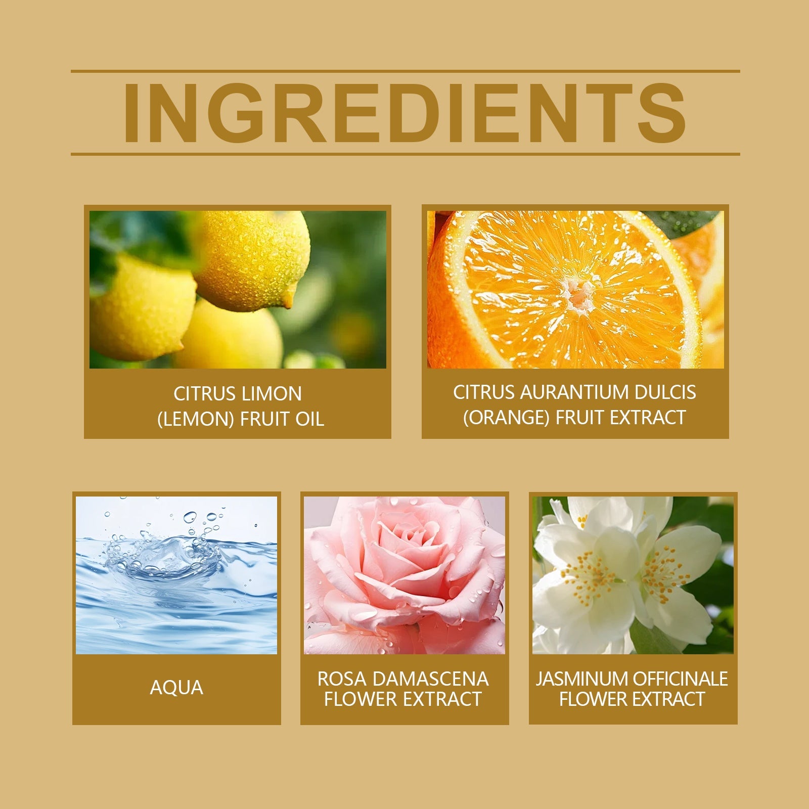 Charm Cologne Natural Fresh Light Elegant Charm Atmosphere Dating Light Fragrance Lasting Fragrance Elegant Perfume - Korvel