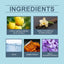 Fresh Amber Wood Perfume, Natural Fresh Lasting Fragrance Charm Amber Fragrance Date Mild Light Elegant Perfume - Korvel