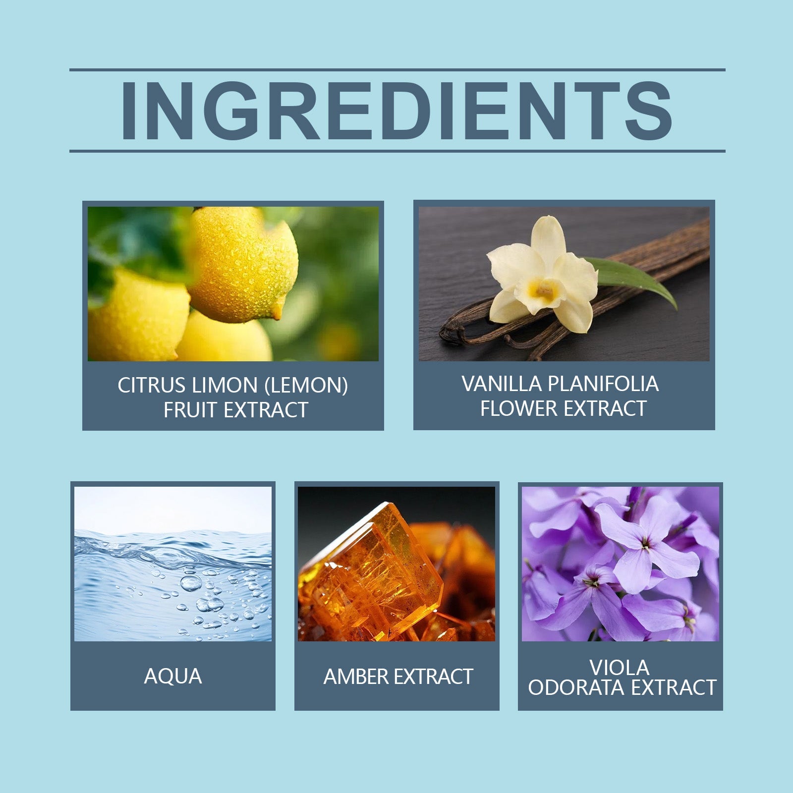 Fresh Amber Wood Perfume, Natural Fresh Lasting Fragrance Charm Amber Fragrance Date Mild Light Elegant Perfume - Korvel