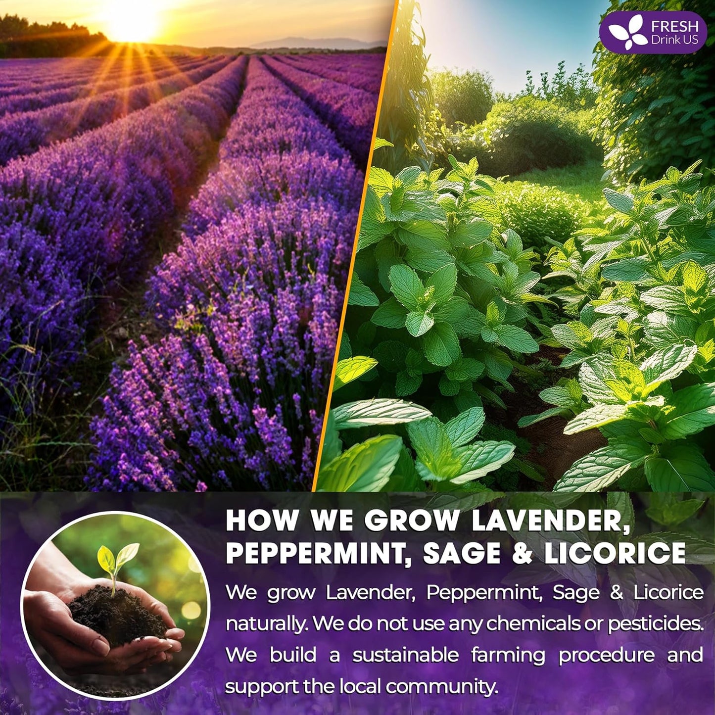 Premium Lavender Mint Tea Bags - 100% Natural Herbal Blend