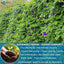 Premium Butterfly Pea Flowers, Tea Bags, 100% Natural and Pure from Butterfly Pea Flowers, Hand-made, Made With Natural Materials-Corn Fiber Tea Bag, Sugar/Caffeine/Gluten Free - Korvel