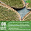 Premium 40 Thyme Leaf Tea Bags - 100% Natural Herbal Infusion
