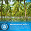 20oz Coconut Milk Powder - 100% Natural & Unsweetened