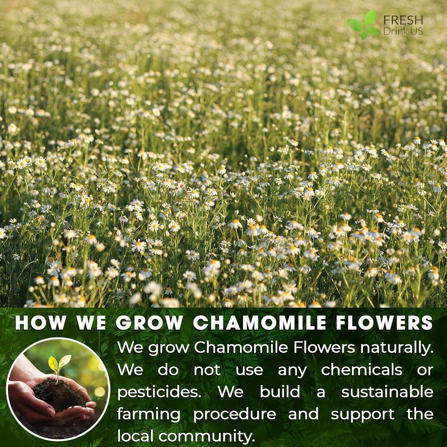 Chamomile Tea Bags, 100% Natural Chamomile, Freshly Picked, Naturally Dried Chamomile, Hand-made, Biodegradable Tea Bag - Korvel