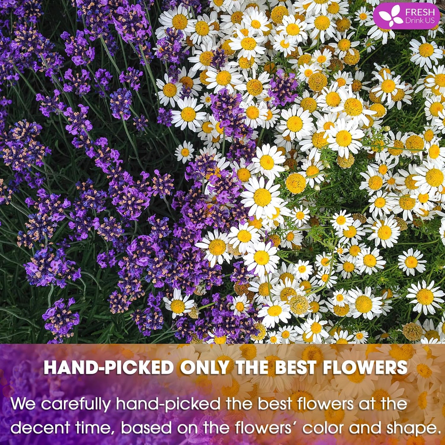 Premium Chamomile Lavender Tea Bags - Eco-Conscious & Caffeine-Free