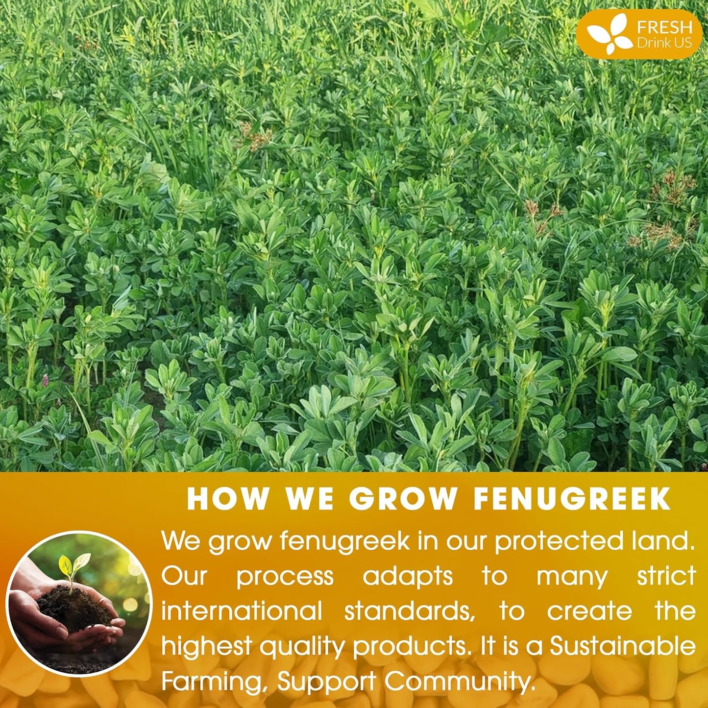 Premium Fenugreek Tea Bags - Caffeine-Free & Vegan (30 Bags)