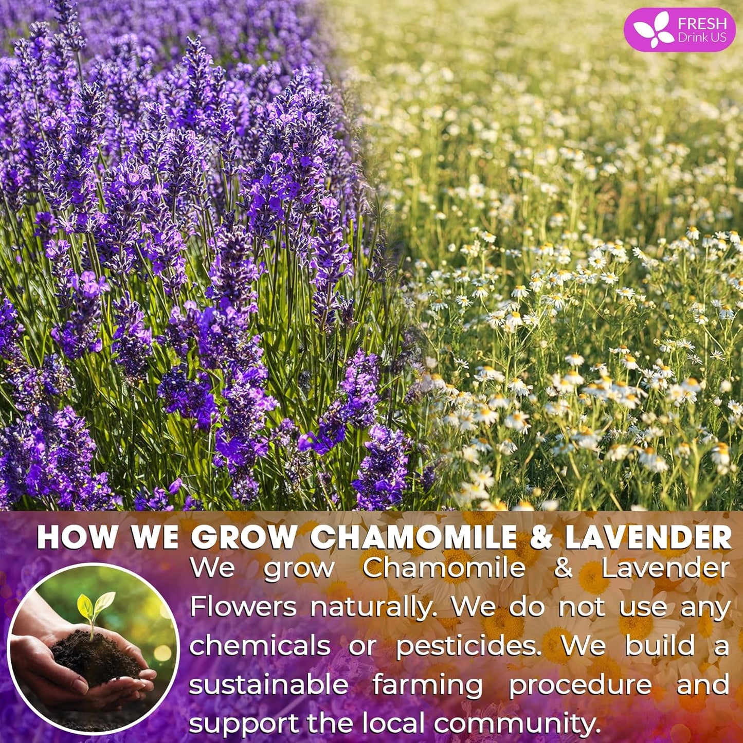 Premium Chamomile Lavender Tea Bags - Eco-Conscious & Caffeine-Free