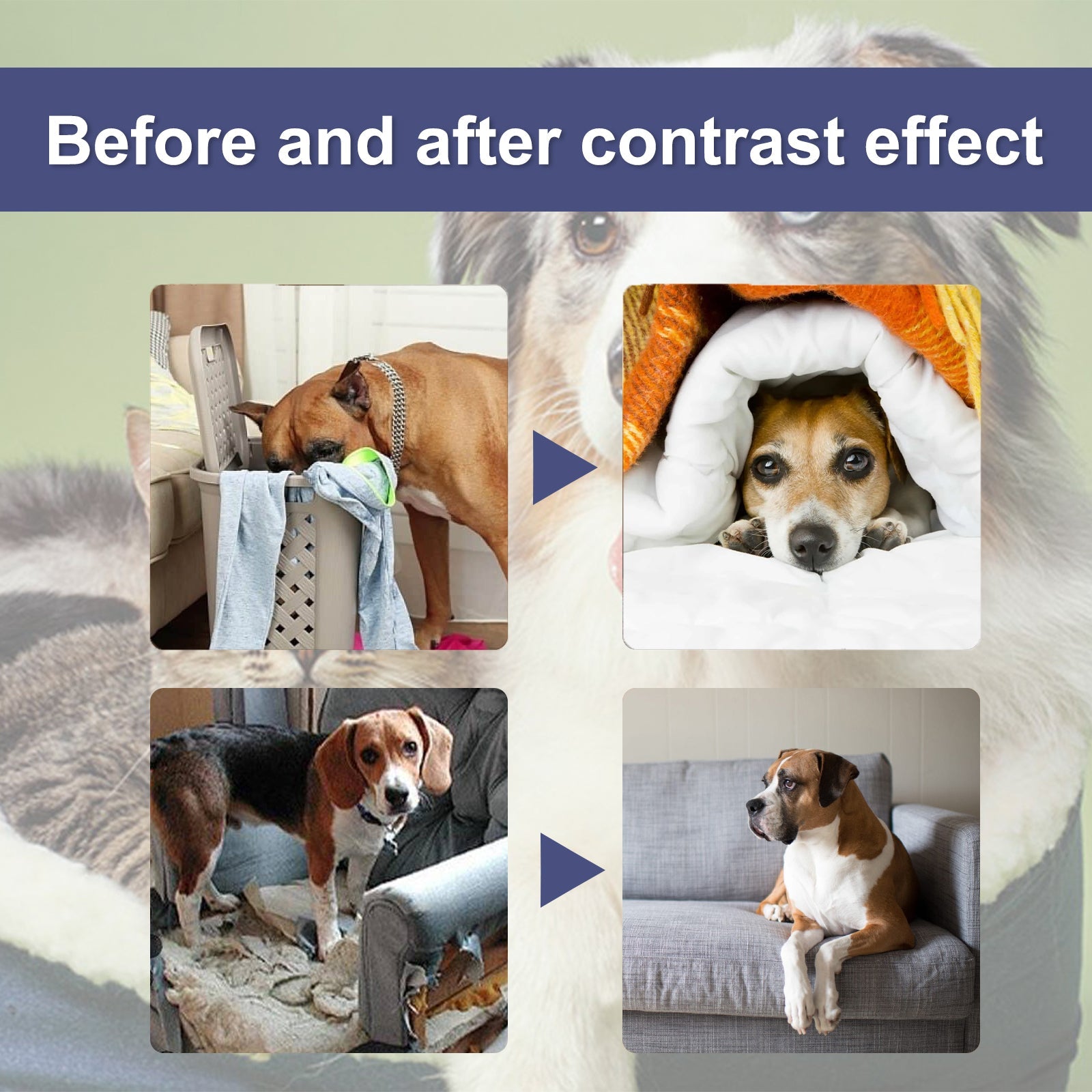 Pet Bitter Anti-Biting Spray, Prevent Dogs Chewing Table And Chair Legs, Scratching Sofa Spray - Korvel