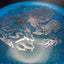 Metal Flake C-Line FD - Limited European Open Edition
