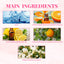 Floral Seduction Fragrance Mist - Elegant Aroma for Memorable Moments