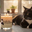 Smells Like… Silent Judgment Soy Candle - 11oz