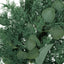 22" BERRY/EUCALYPTUS/PINECONE WREATH - Korvel