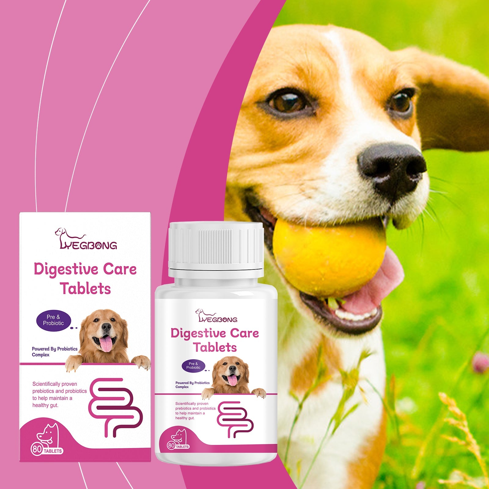 Dog Probiotic Tablets To Improve Intestinal Health, Balance Digestion And Absorption Of Pet Nutritional Supplements - Korvel