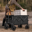 Collapsible Folding Beach Wagon Cart