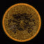 Particle Glow Proton Hex - Champions Cup 2025