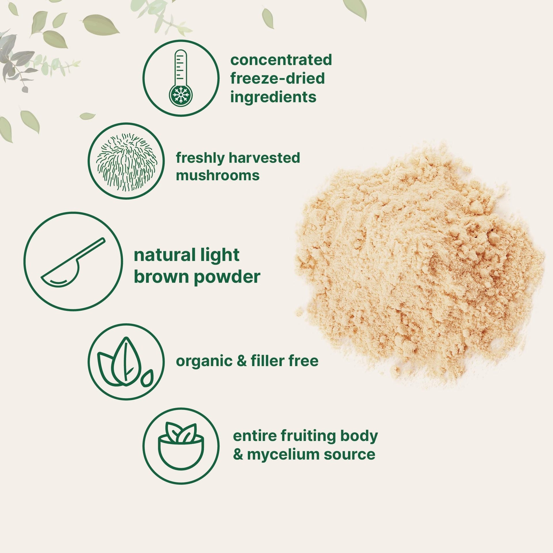 Lion mane mushroom powder Monkey head mushroom powder - Korvel