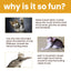 Jouet interactif intelligent en forme de souris pour chats et chiens
