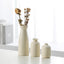 Ceramic vase decoration home living room wine cabinet flower planter modern decorative flower set of 3 pieces - Korvel
