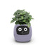 USB Auto Absorbent Planter Brand New PP Resin Plastic Round Eco-friendly Interactive - Korvel