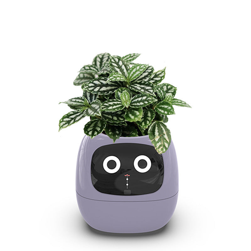 USB Auto Absorbent Planter Brand New PP Resin Plastic Round Eco-friendly Interactive - Korvel