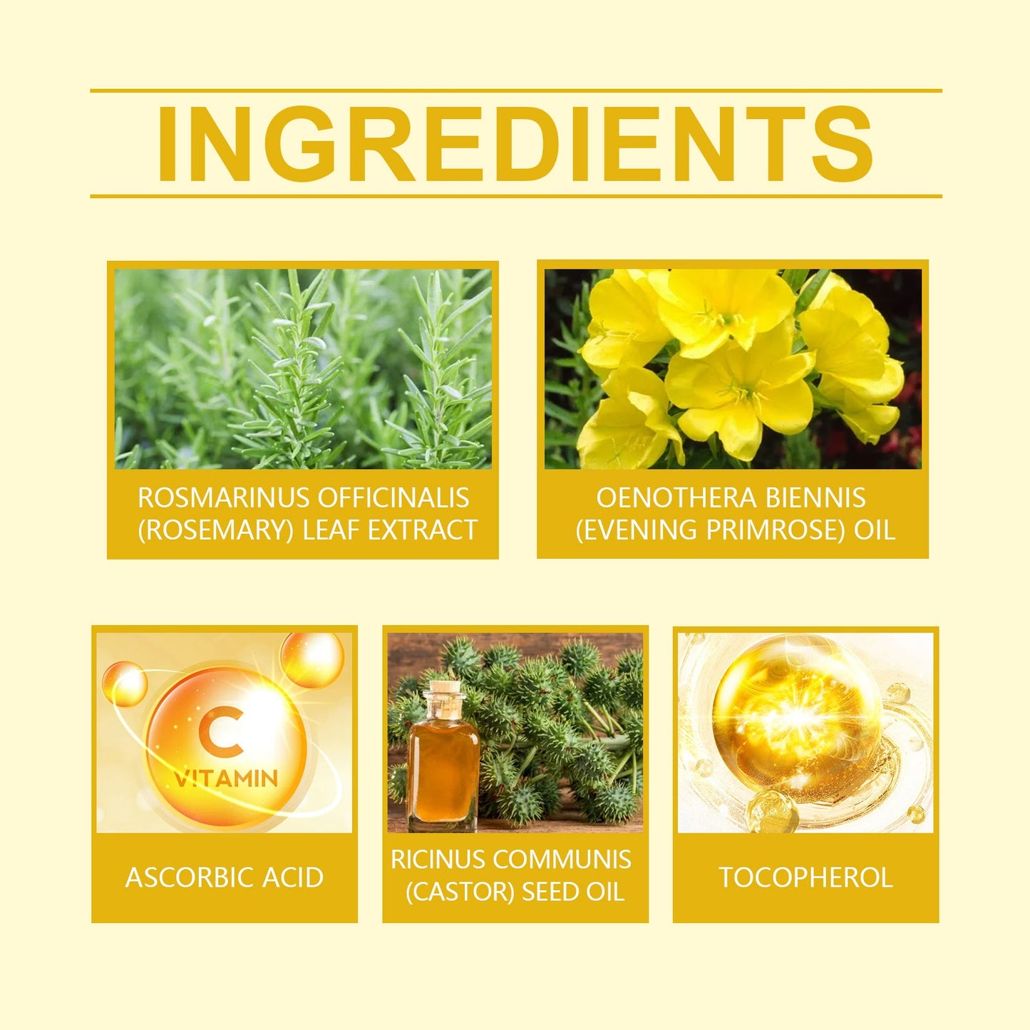 Woodsleep Evening Primrose Care Oil Hair Care Hair Care Oil - Korvel