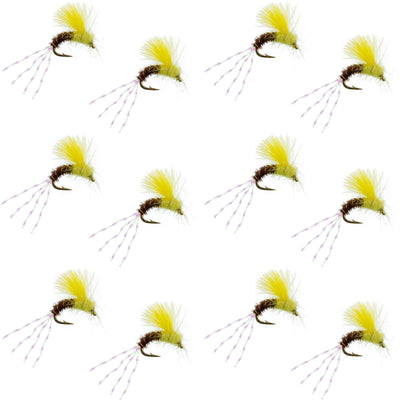 CDC Pale Morning Dun Emerger PMD Wet Fly Fishing Fly - 1 Dozen