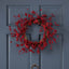 23.5" WP MIXED BERRY WREATH - Korvel