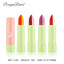 Macaron Color Changing Lipstick - Lasting Moisture & Warm Hues