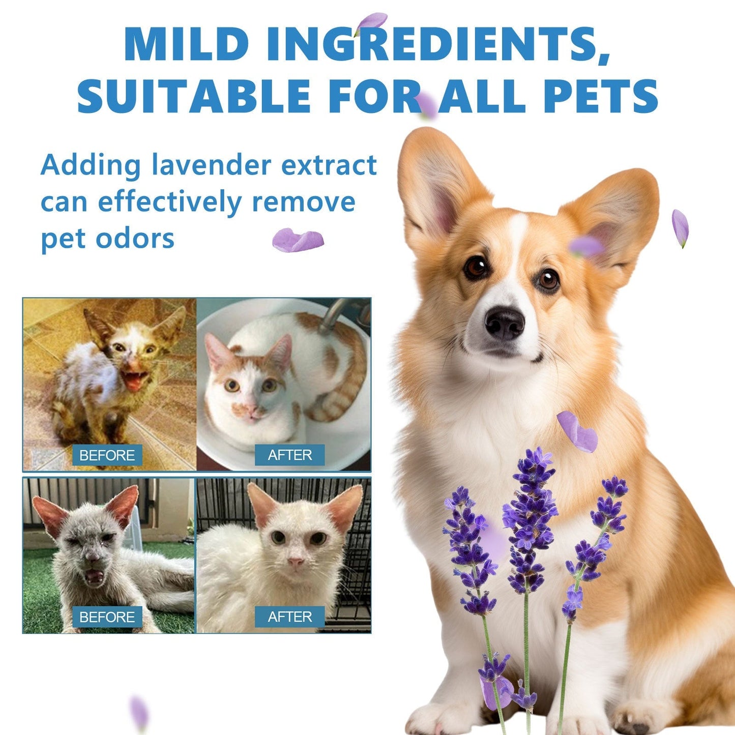 Pet Hair Daily Gentle Cleaning and Scented No-Rinse Care Essence for Cats and Dogs - Korvel