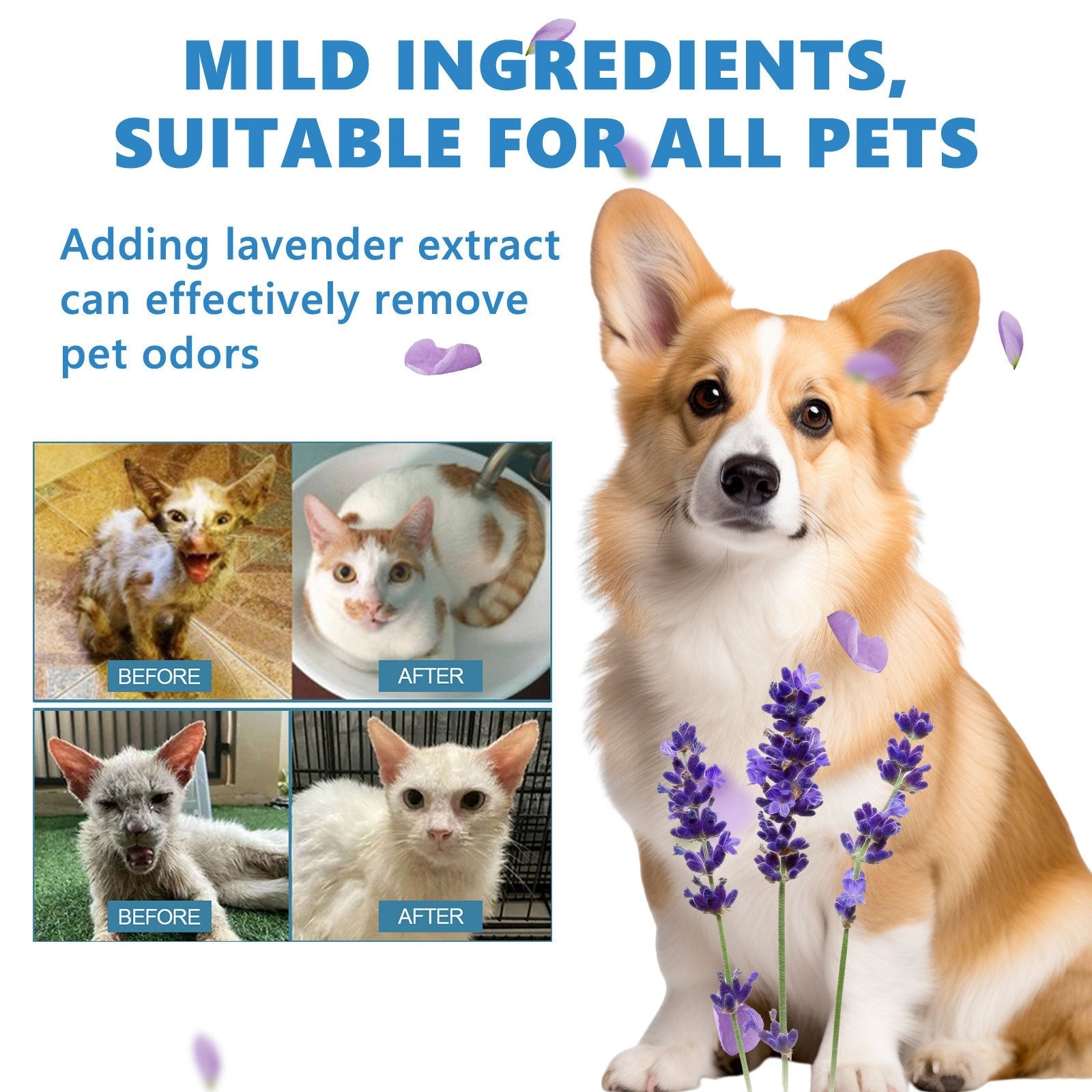 Pet Hair Daily Gentle Cleaning and Scented No-Rinse Care Essence for Cats and Dogs - Korvel
