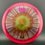 Discraft Fly Dye Z Zone Disc Golf Disc